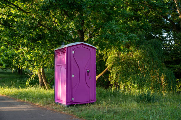 Best Porta potty delivery and setup  in Lyons, CO